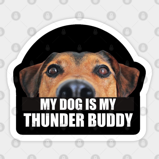 Thunder buddy dog sale